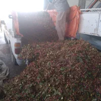 وانت بار کرایه ای (نیسان)|خدمات حمل و نقل|سیرجان, |دیوار