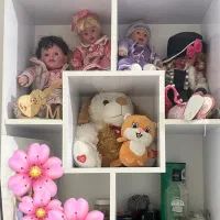کتابخانه و جا عروسکی|کتابخانه، شلف، قفسه‌های دیواری|تهران, والفجر (افسریه)|دیوار