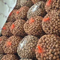 ۳۰۰ کیلوگردو درجه۱ خشک و تر فروش فوری