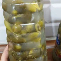 خیارشوره تازه و ترد|خوردنی و آشامیدنی|تهران, هوانیروز|دیوار