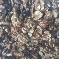 گردو تویسرکان|خوردنی و آشامیدنی|تهران, فرزانه|دیوار