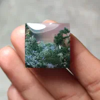 نگین زیبا و معدنی شجر دریایی