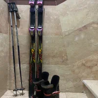 آلپاین سالمون