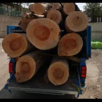 خرید چوب،بریدن انواع درخت،هرس درخت|خدمات باغبانی و درختکاری|صدرا-فارس, فاز ۱|دیوار