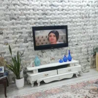 زیر تلفزیون