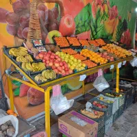 واگذاری میوه فروشی|فروشگاه و مغازه|سیرجان, |دیوار