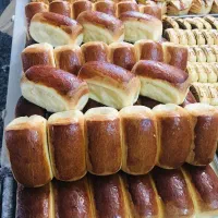 شیرینی خشک عمده