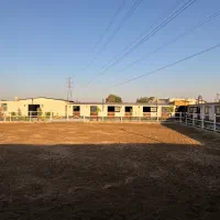 باشگاه سوارکاری آریون