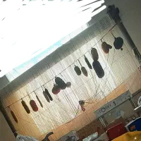 دار ( کارگاه ) قالی