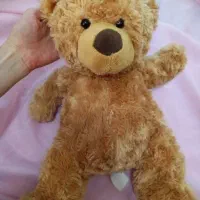 فروش فوری تعدادی عروسک خرس