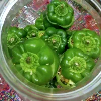 انواع ترشی سبزی قورمه عرقیجات|خوردنی و آشامیدنی|ملایر, |دیوار