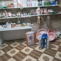 وسایل یکبارمصرف به فروش میرود|ظروف نگهدارنده، پلاستیکی، یکبارمصرف|مرودشت, بیست متری بیمارستان|دیوار