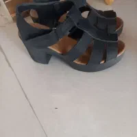 کفش مجلسی