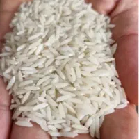 برنج دم سیاه ،شاهیوند درجه یک