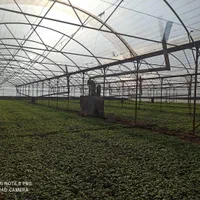 1 هکتار گلخانه و زمین کشاورزی ورامین