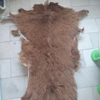 پوست بز عالی|صنایع دستی و سایر لوازم تزئینی|تهران, صد دستگاه|دیوار