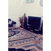 سوئیت شبانه