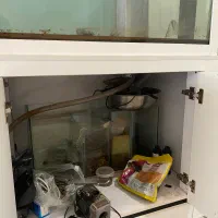 آکواریوم|ماهی|ارومیه, |دیوار