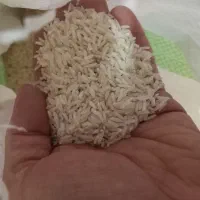 برنج هاشمی .شمال
