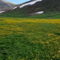 مانلی کردان کوهسار کرج