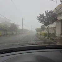 نیسان پیکاپ تک