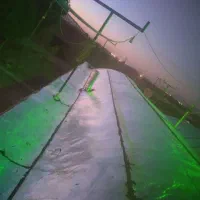 نمایندگی ایزوگام شرق نصبوخام اقساطی همه‌جا‌ارزونتر|خدمات پیشه و مهارت|کرمان, |دیوار