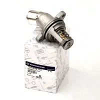 دسته موتور شاتونی ،ترموستات،شیلنگ بخار روغن تیوولی|قطعات یدکی و لوازم جانبی|تهران, مهران|دیوار