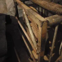 گاز 4شعله