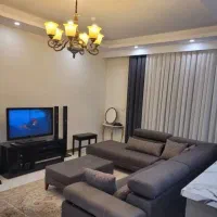 خانم نظافت منزل