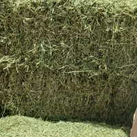 یونجه درجه یک