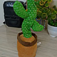 اسباب بازی کاکتوس|اسباببازی|تبریز, |دیوار