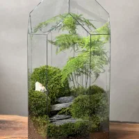 گل و گیاه طبیعی