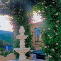 اجاره باغ ویلا|اجارهٔ کوتاهمدت ویلا و باغ|کاشمر, |دیوار