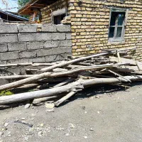 هیزم|خدمات باغبانی و درختکاری|خلخال, |دیوار