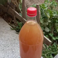 سرکه سیب و سرکه انگور خانگی به شرط تست