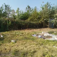 علفتراشی وچمنزنی وعلفزنی وتمشک زنی و لی زنی دستگاه|خدمات باغبانی و درختکاری|رشت, شهریاران|دیوار