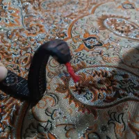 تسبیح|کلکسیون اشیاء عتیقه|آستارا, |دیوار