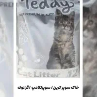فروش خاک بستر گربه|لوازم جانبی حیوانات|شیراز, شهرک سراج‎|دیوار