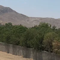 فروش آب قنات،باغ ، باغچه ، زمین کشاورزی با آب قنات|فروش دفتر صنعتی، کشاورزی، تجاری|آباده, |دیوار