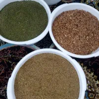 حبوبات (ماش ،عدس ریز ،لوبیا )