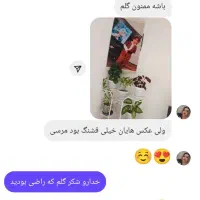 عزیزان سفارشم انلاینه|فرش|پاوه, |دیوار
