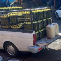 وانت تلفنی شبانه روزی