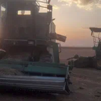 کوبیدن لوبیا با کمباین کاه کوب