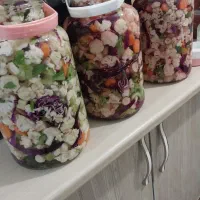 ترشی خانگی|خوردنی و آشامیدنی|رشت, باهنر|دیوار