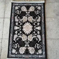 فروش تعداد زیادی پادری ب قیمت عمده در بندرعباس|پادری|بندرعباس, |دیوار