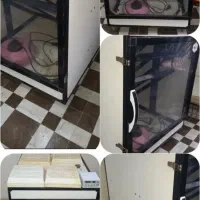 دستگاه جوجه کشی فاخته هدایت ایزی باتور2|لوازم جانبی حیوانات|تربت‌حیدریه, شهرک ولیعصر|دیوار