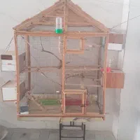فروش فوری قفس چوبی بزرگ|لوازم جانبی حیوانات|بوشهر, |دیوار