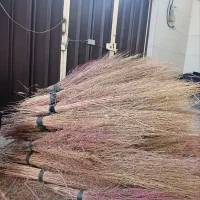 صد دسته جارو بزرگ