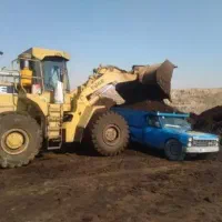 کود گاوی فراوری شده درجه 1 استان  قدس  رضوی