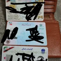 کیف پول گم شده